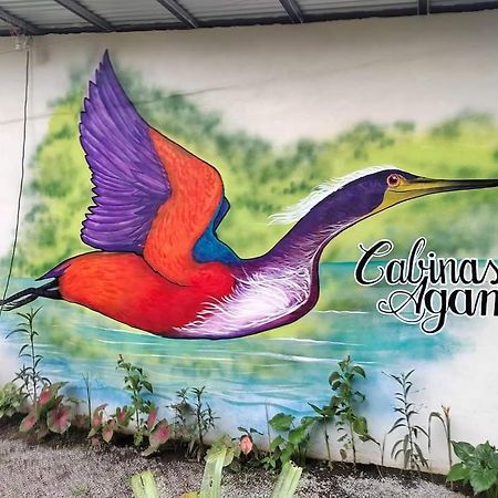 Cabinas Agamy Tortuguero Zewnętrze zdjęcie