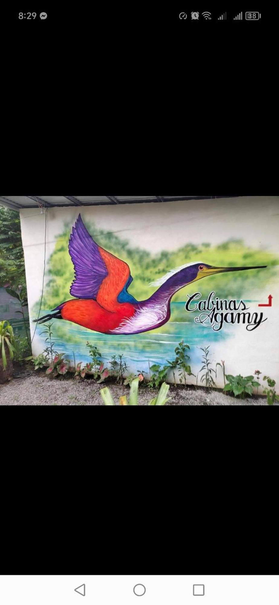 Cabinas Agamy Tortuguero Zewnętrze zdjęcie
