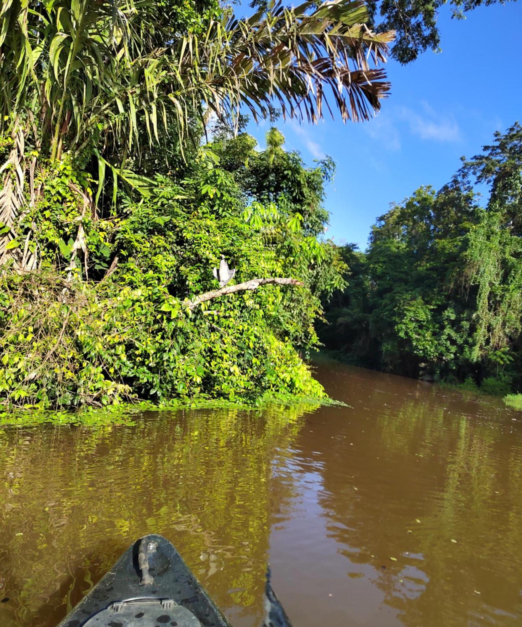 Cabinas Agamy Tortuguero Zewnętrze zdjęcie